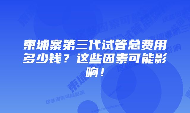 柬埔寨第三代试管总费用多少钱？这些因素可能影响！