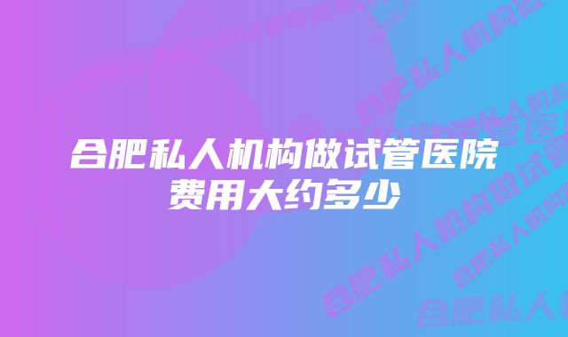 合肥私人机构做试管医院费用大约多少