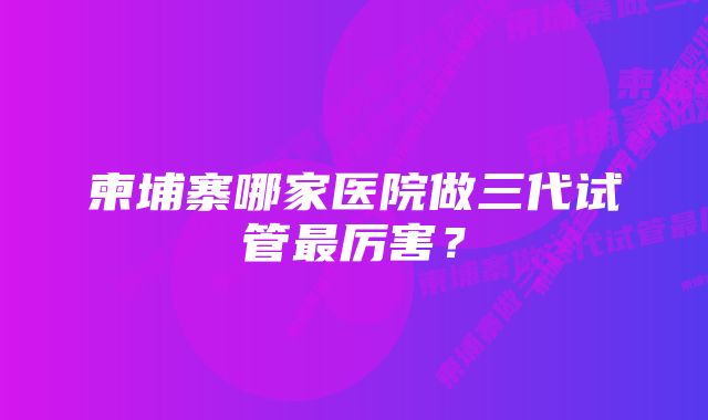 柬埔寨哪家医院做三代试管最厉害？