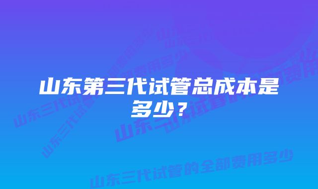 山东第三代试管总成本是多少？