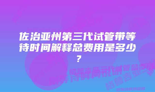 佐治亚州第三代试管带等待时间解释总费用是多少？