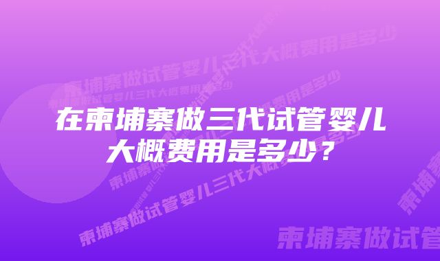 在柬埔寨做三代试管婴儿大概费用是多少？