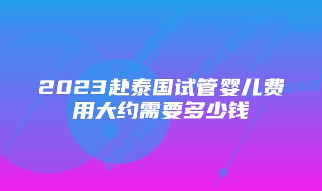 2023赴泰国试管婴儿费用大约需要多少钱