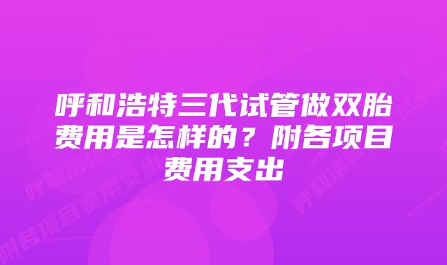 呼和浩特三代试管做双胎费用是怎样的？附各项目费用支出