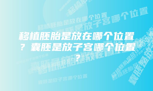 移植胚胎是放在哪个位置？囊胚是放子宫哪个位置？