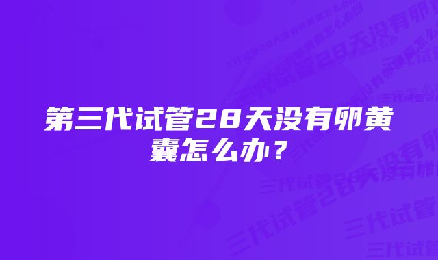 第三代试管28天没有卵黄囊怎么办？