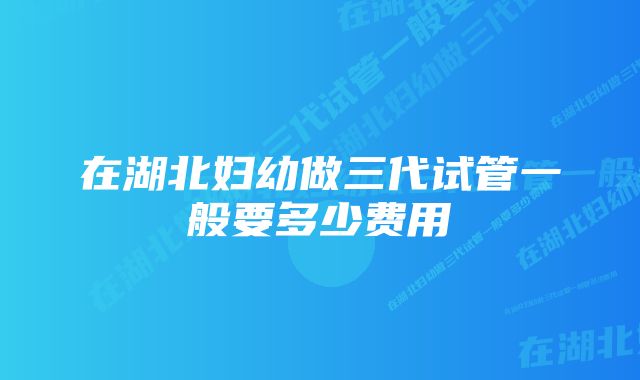 在湖北妇幼做三代试管一般要多少费用