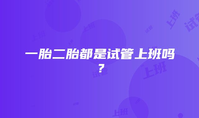 一胎二胎都是试管上班吗？