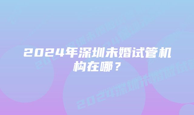 2024年深圳未婚试管机构在哪？