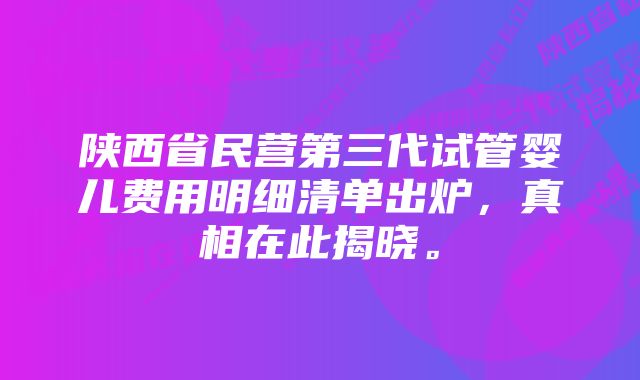 陕西省民营第三代试管婴儿费用明细清单出炉，真相在此揭晓。