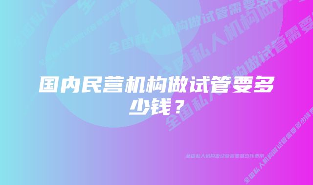 国内民营机构做试管要多少钱？