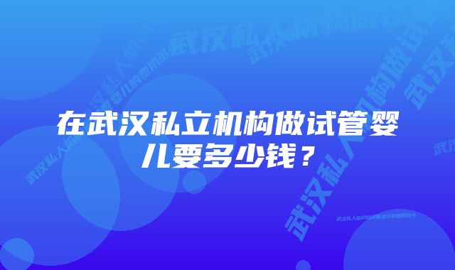 在武汉私立机构做试管婴儿要多少钱？