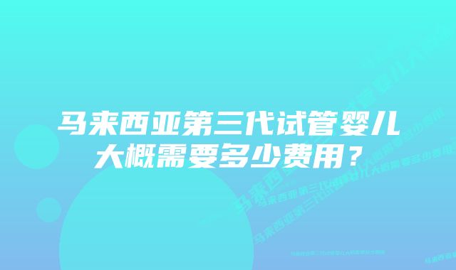 马来西亚第三代试管婴儿大概需要多少费用？