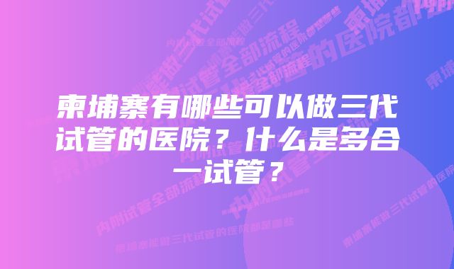 柬埔寨有哪些可以做三代试管的医院？什么是多合一试管？