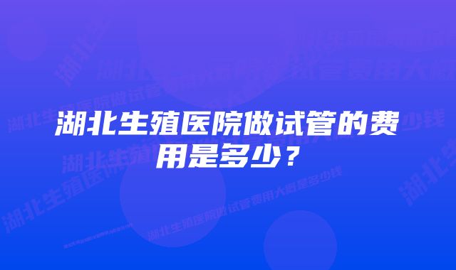 湖北生殖医院做试管的费用是多少？