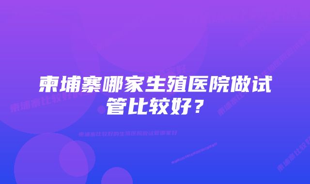 柬埔寨哪家生殖医院做试管比较好？