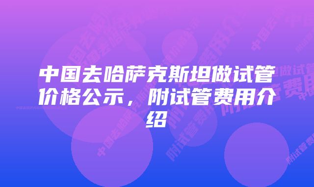 中国去哈萨克斯坦做试管价格公示，附试管费用介绍