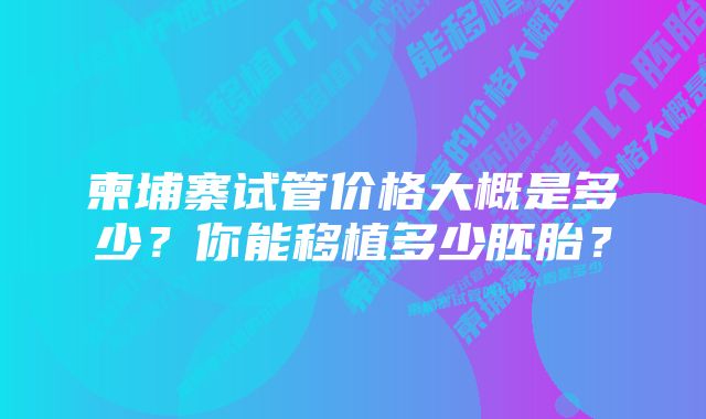 柬埔寨试管价格大概是多少？你能移植多少胚胎？