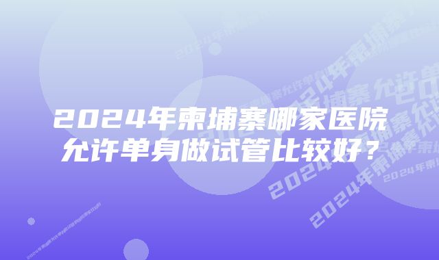 2024年柬埔寨哪家医院允许单身做试管比较好？