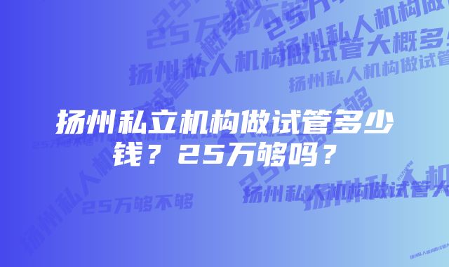 扬州私立机构做试管多少钱？25万够吗？