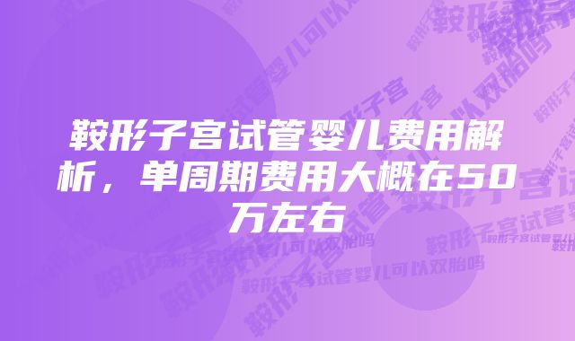 鞍形子宫试管婴儿费用解析，单周期费用大概在50万左右