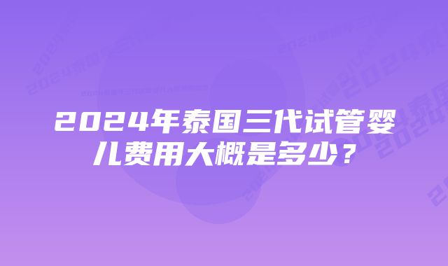 2024年泰国三代试管婴儿费用大概是多少？