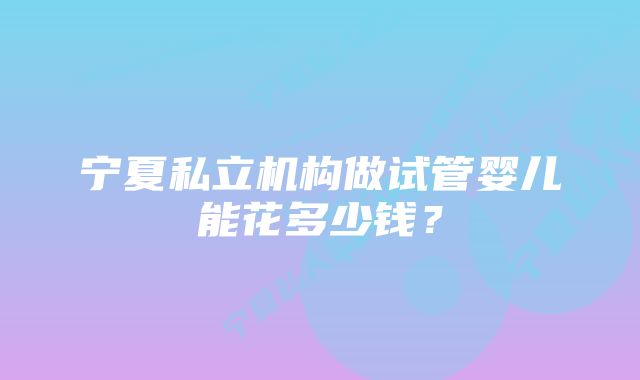 宁夏私立机构做试管婴儿能花多少钱？