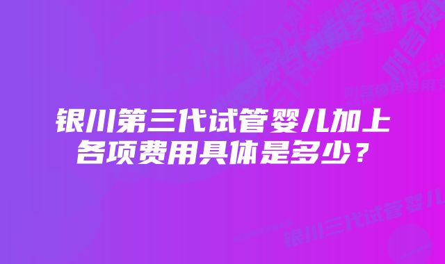 银川第三代试管婴儿加上各项费用具体是多少？