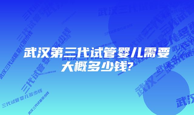 武汉第三代试管婴儿需要大概多少钱?