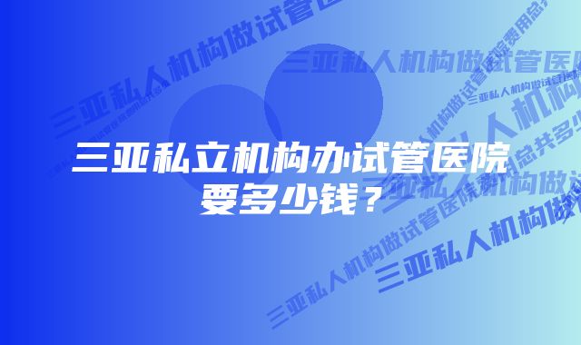 三亚私立机构办试管医院要多少钱？