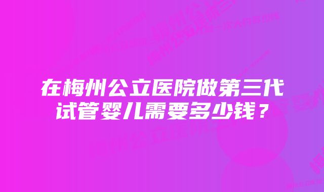 在梅州公立医院做第三代试管婴儿需要多少钱？