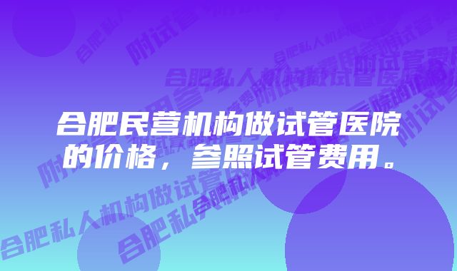 合肥民营机构做试管医院的价格，参照试管费用。