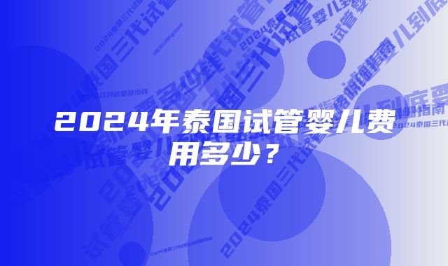 2024年泰国试管婴儿费用多少？