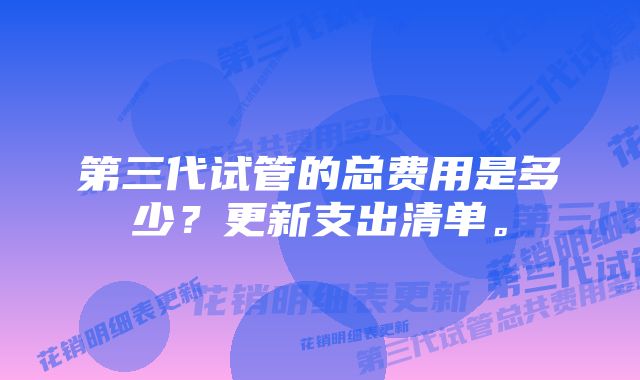 第三代试管的总费用是多少？更新支出清单。