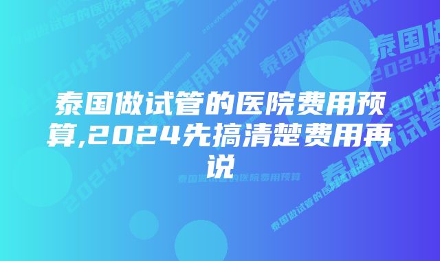 泰国做试管的医院费用预算,2024先搞清楚费用再说