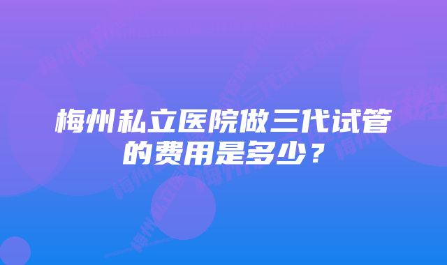 梅州私立医院做三代试管的费用是多少？