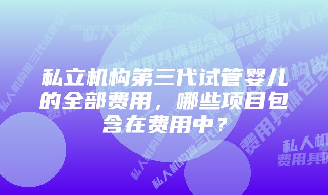 私立机构第三代试管婴儿的全部费用，哪些项目包含在费用中？