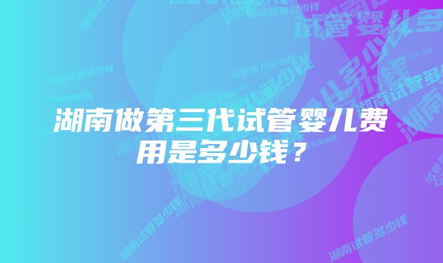 湖南做第三代试管婴儿费用是多少钱？