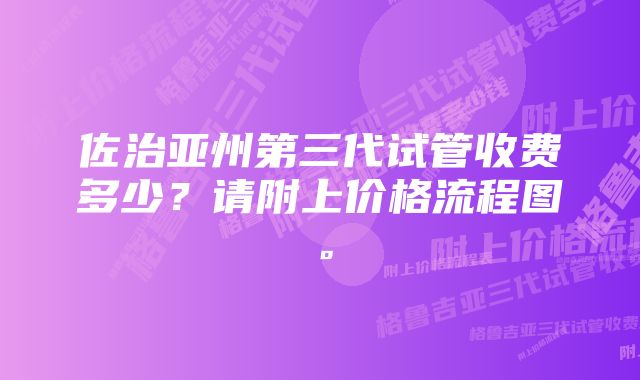 佐治亚州第三代试管收费多少？请附上价格流程图。