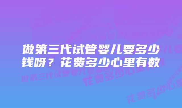 做第三代试管婴儿要多少钱呀？花费多少心里有数