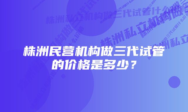 株洲民营机构做三代试管的价格是多少？