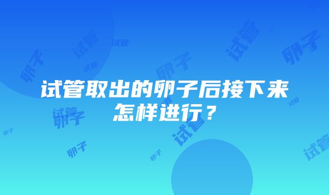 试管取出的卵子后接下来怎样进行？