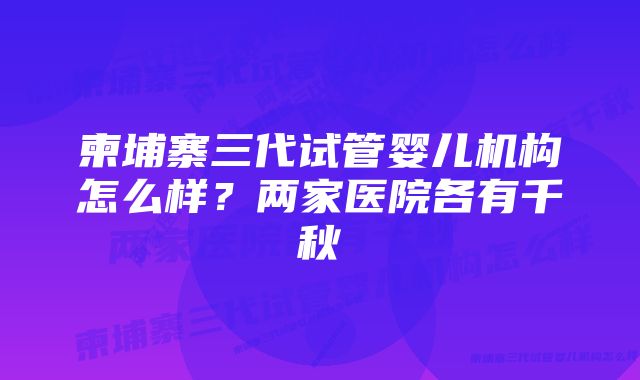 柬埔寨三代试管婴儿机构怎么样？两家医院各有千秋