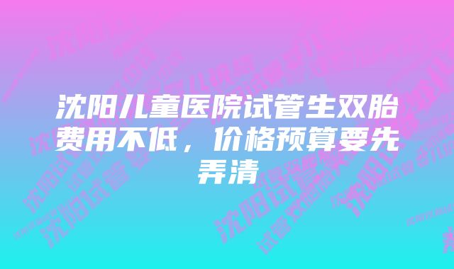 沈阳儿童医院试管生双胎费用不低，价格预算要先弄清