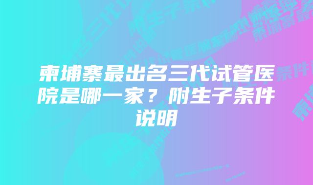 柬埔寨最出名三代试管医院是哪一家？附生子条件说明