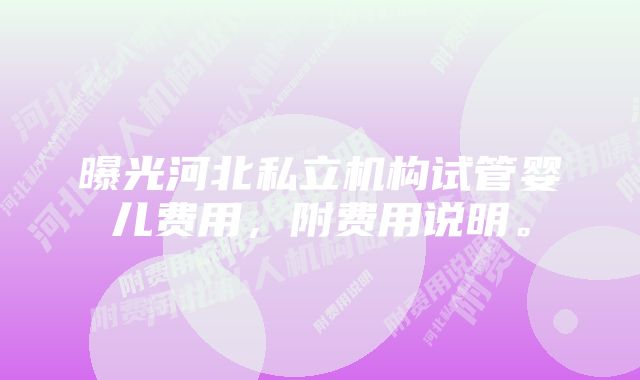 曝光河北私立机构试管婴儿费用，附费用说明。