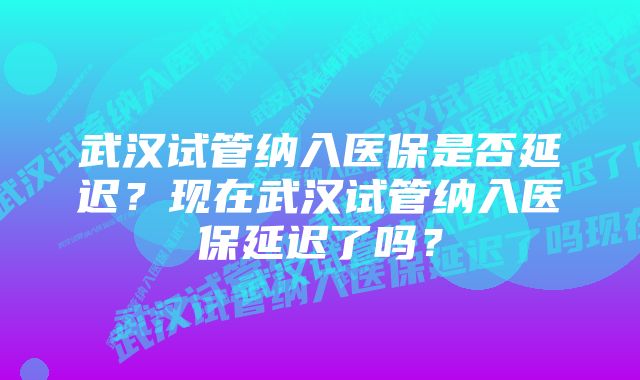 武汉试管纳入医保是否延迟？现在武汉试管纳入医保延迟了吗？