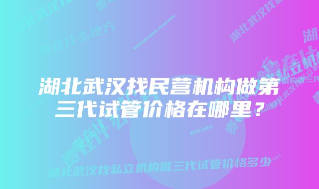 湖北武汉找民营机构做第三代试管价格在哪里？