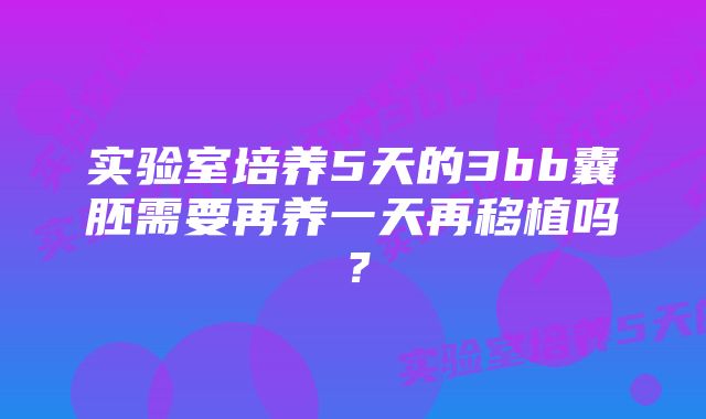 实验室培养5天的3bb囊胚需要再养一天再移植吗？