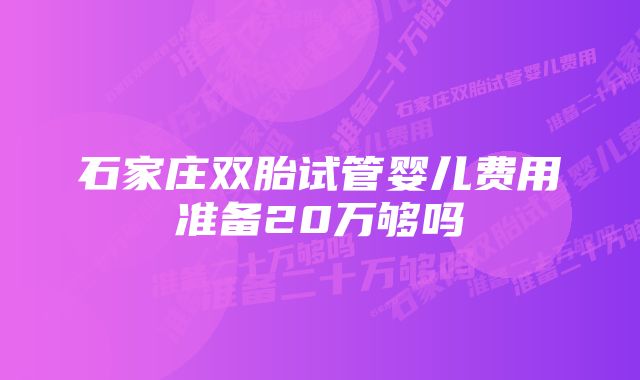 石家庄双胎试管婴儿费用准备20万够吗